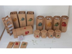 中国尊龙凯时品牌