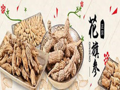 中国尊龙凯时品牌