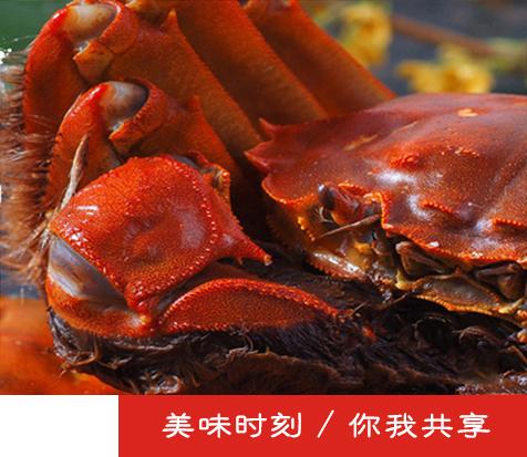 中国尊龙凯时品牌网 中国尊龙凯时品牌网