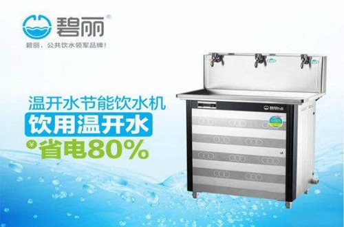 十大饮水机中为什么碧丽饮水机会脱颖而出？
