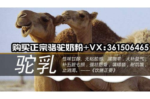 哪个牌子的骆驼奶粉好？喝骆驼奶粉有什么功效？