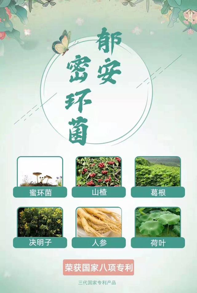 尊龙凯时品牌工程