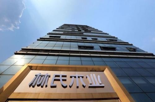 林氏木业家具旗舰店：十二年专注造就年轻人喜爱品牌