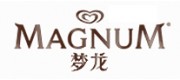 MAGNUM梦龙